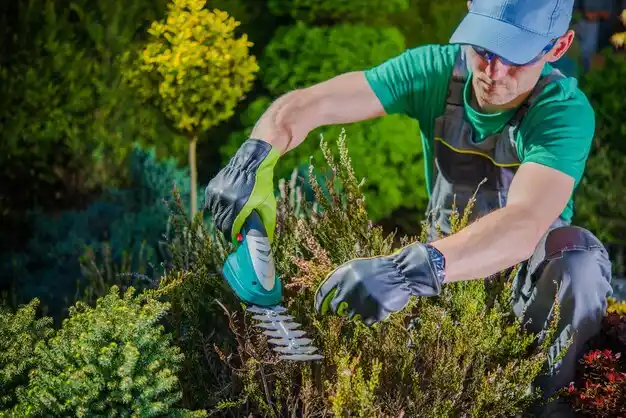 landscaping services Lincoln